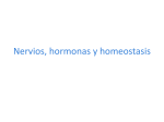 Nervios, hormonas y homeostasis