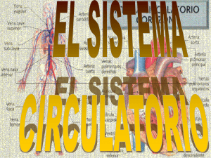 sistema circulatorio