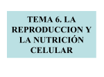 Tema 6. Reproducción y nutrición celular.