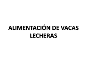 ALIMENTACIÓN DE VACAS LECHERAS