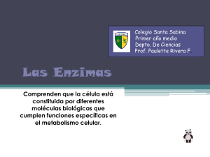 Las Enzimas - Colegio Santa Sabina
