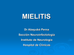 MIELITIS - Clinica Medica 2