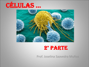 Clasificación de la célula