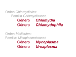 Familias Chlamydiaceae y Mycoplasmataceae