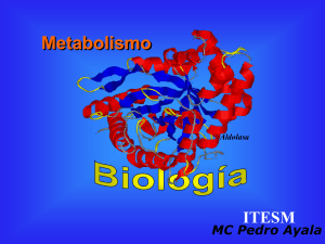 metabolismo glucosa Respiracion_Celular biblioteca cooprativa