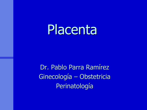 Placenta - medicina