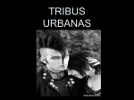 TRIBUS URBANAS