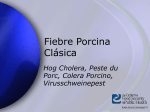 Classical Swine Fever - CFSPH