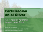 Fertilización en el Olivar - asesoramiento y servicios