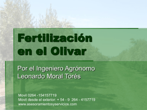 Fertilización en el Olivar - asesoramiento y servicios