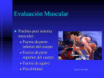 Reasons for Musculo