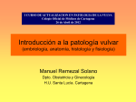 Tema 1.- Introducción a la patología vulvar (embriología