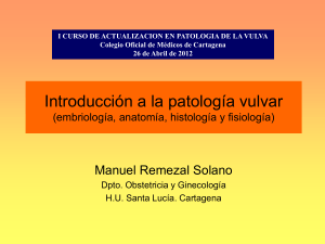 Tema 1.- Introducción a la patología vulvar (embriología