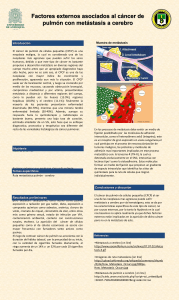 Ejemplo de Poster. Estudiantes Semestre 1-2008