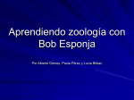 Aprendiendo zoología con Bob Esponja