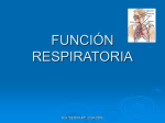 función respiratoria