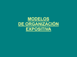 MODELOS DE ORGANIZACIÓN EXPOSITIVA