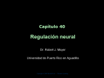 Chapter 40 - Universidad de Puerto Rico en Aguadilla