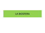 la biosfera - Gobierno de Canarias