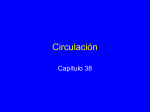 Cap. 38