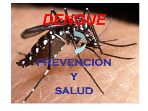 dengue