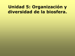 Unidad 5: Organización y diversidad de la biosfera.