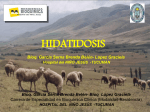 hidatidosis