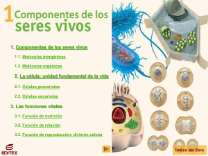 Las funciones de los seres vivos