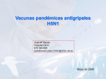 Vacunas pandémicas antigripales H5N1