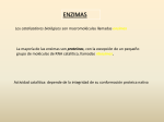 ENZIMAS - quimicabiologicaunsl