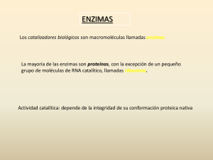 ENZIMAS - quimicabiologicaunsl