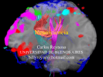 Neurociencia - Carlos Reynoso