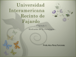 Psicología de la Gestalt - Universidad Interamericana de Puerto Rico