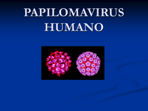 papiloma.pps