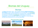 Biomas del Uruguay EVALUADO
