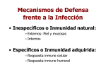 Mecanismos de defensa frente a la infección