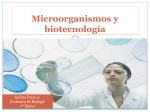 Microorganismos y biotecnología