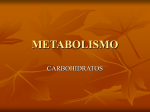 metabolismo - alumnosmedicinaunahvs