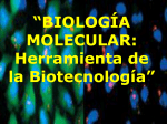 BIOLOGÍA MOLECULAR: Herramienta de la Biotecnología