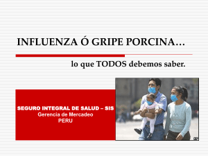 Influenza porcina