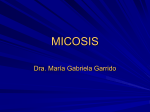 Micosis