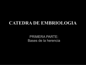 Bases de la herencia - Cátedra de embriología