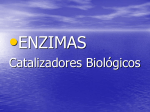 enzimas - IHMC Public Cmaps