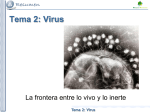 Tema 2: Virus