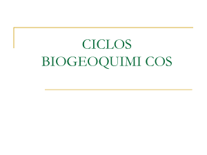 CICLOS biogeoquimicos