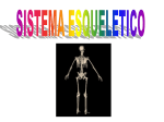 Esqueletico