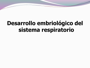 unidad 5 - profesornorsolmata