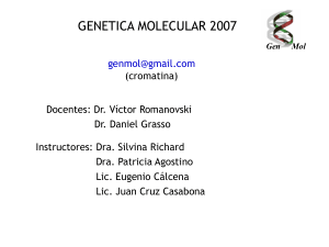 estructura del material genetico