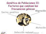 Tema 21: Genética Poblaciones II