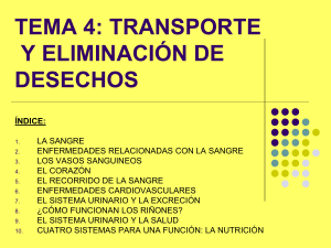 tema 4: transporte y eliminación de desechos índice